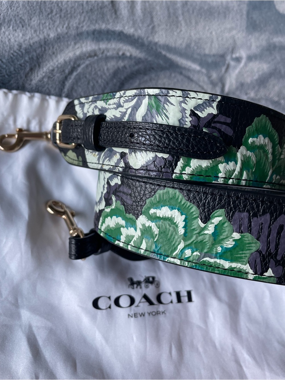 Coach Bag Strap